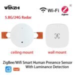 Wall mount Wifi MmWave Human Presence Motion Sensor With Luminance/Distance Detection 5/110/220V Tuya Smart Life Home Automation